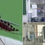 Virus Zapadnog Nila &scaron;iri se Zagrebom: Od četvero pacijenata dvoje je na intenzivnom liječenju