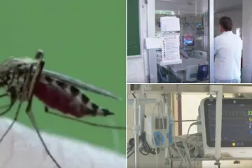Virus Zapadnog Nila &scaron;iri se Zagrebom: Od četvero pacijenata dvoje je na intenzivnom liječenju