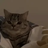 Ponedjeljkom ujutro se svi osjećamo kao ova mačka