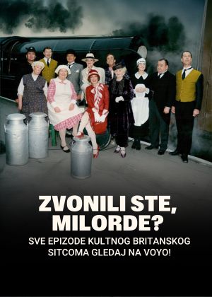 zvonili ste