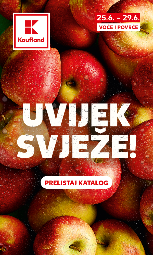 Katalog