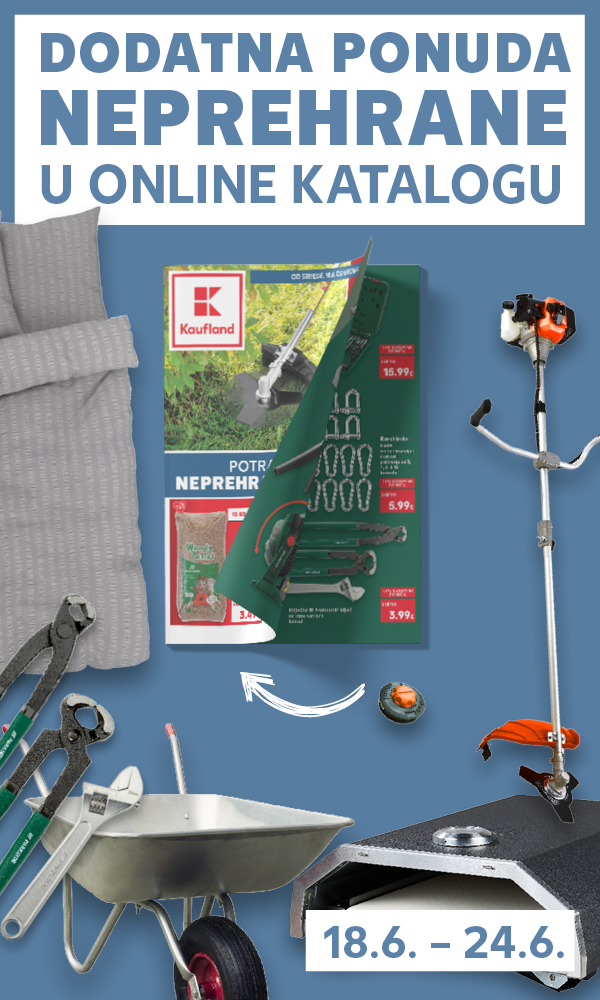 Katalog